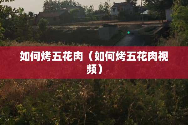 如何烤五花肉（如何烤五花肉视频）