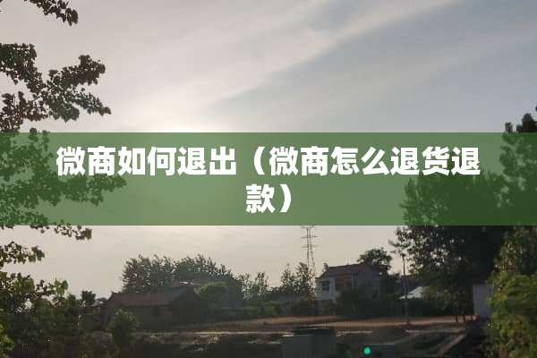 微商如何退出（微商怎么退货退款）