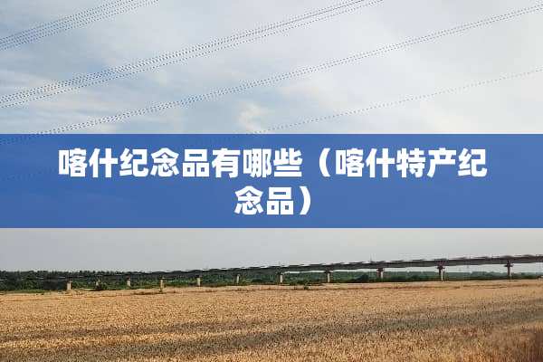 喀什纪念品有哪些（喀什特产纪念品）