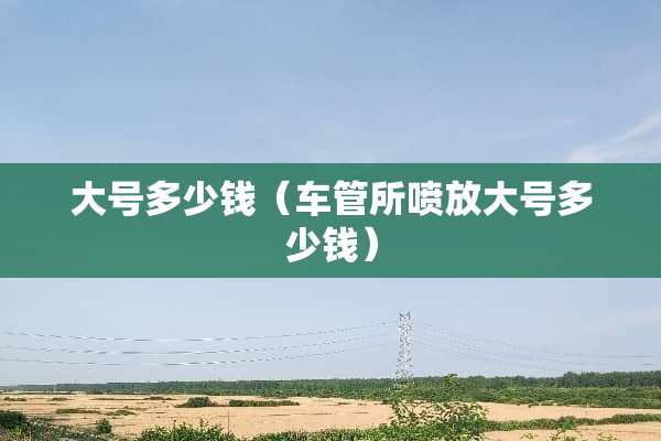 大号多少钱（车管所喷放大号多少钱）