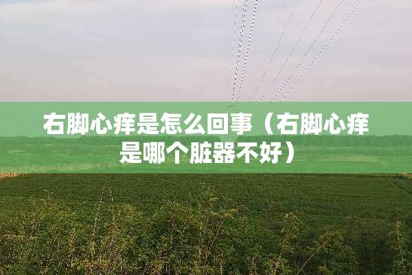 右脚心痒是怎么回事（右脚心痒是哪个脏器不好）
