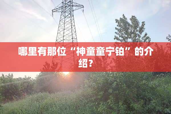 哪里有那位“神童童宁铂”的介绍？