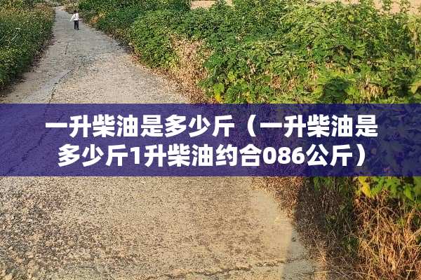 一升柴油是多少斤（一升柴油是多少斤1升柴油约合086公斤）
