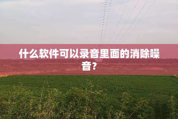 什么软件可以录音里面的消除噪音？