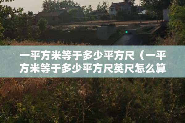 一平方米等于多少平方尺（一平方米等于多少平方尺英尺怎么算）