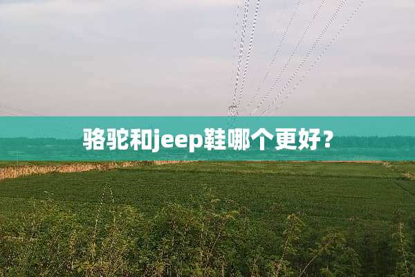 骆驼和jeep鞋哪个更好？