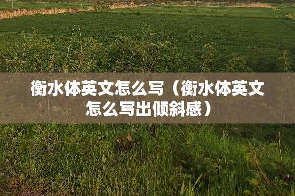 衡水体英文怎么写（衡水体英文怎么写出倾斜感）