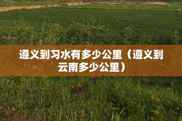 遵义到习水有多少公里（遵义到云南多少公里）