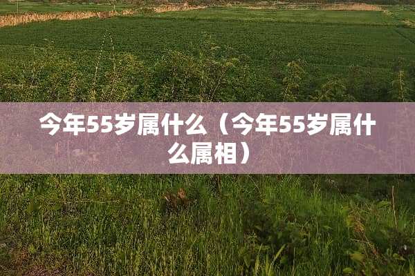 今年55岁属什么（今年55岁属什么属相）