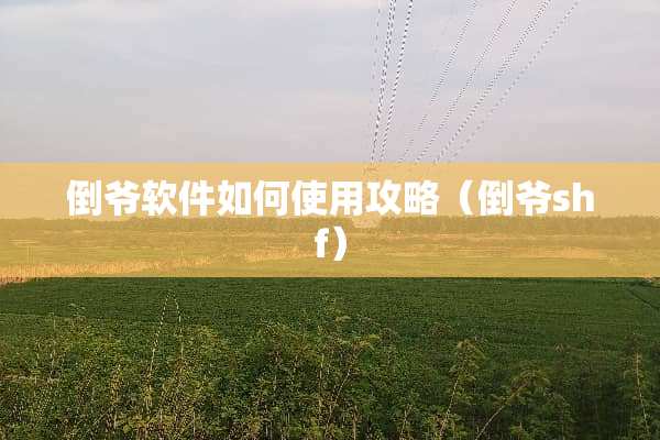 倒爷软件如何使用攻略（倒爷shf）