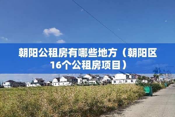 朝阳公租房有哪些地方（朝阳区16个公租房项目）