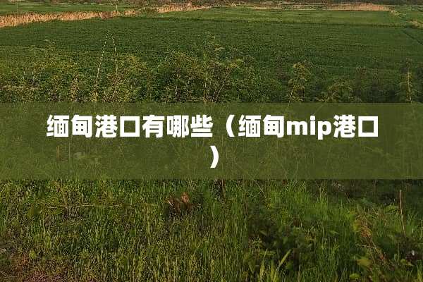 缅甸港口有哪些（缅甸mip港口）