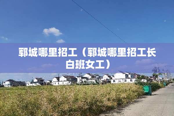 郓城哪里招工（郓城哪里招工长白班女工）