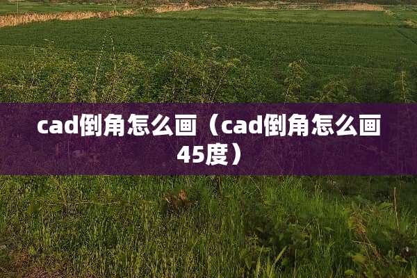cad倒角怎么画（cad倒角怎么画45度）