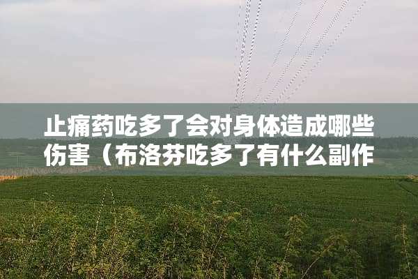 止痛药吃多了会对身体造成哪些伤害（布洛芬吃多了有什么副作用）