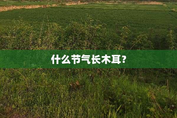 什么节气长木耳？