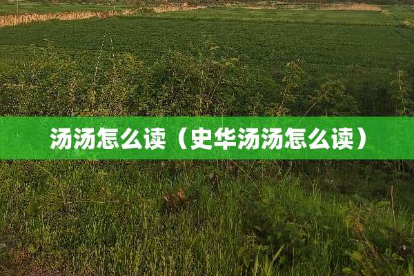 汤汤怎么读（史华汤汤怎么读）