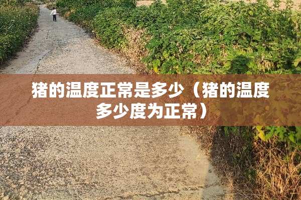 猪的温度正常是多少（猪的温度多少度为正常）