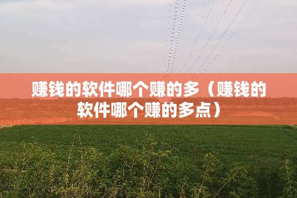 赚钱的软件哪个赚的多（赚钱的软件哪个赚的多点）