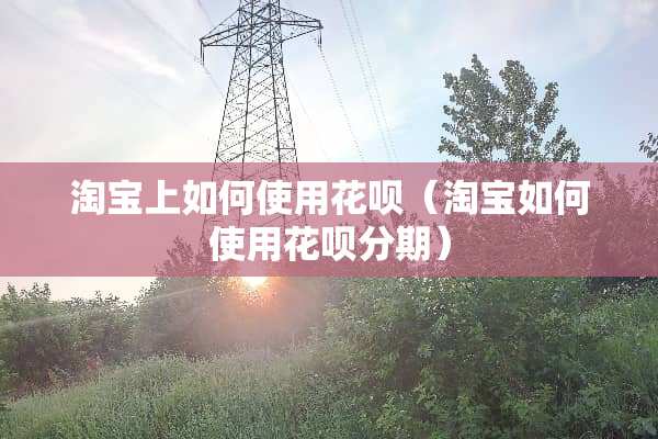 淘宝上如何使用花呗（淘宝如何使用花呗分期）