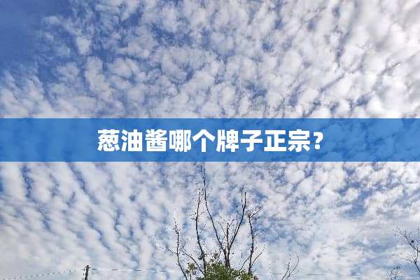 葱油酱哪个牌子正宗？