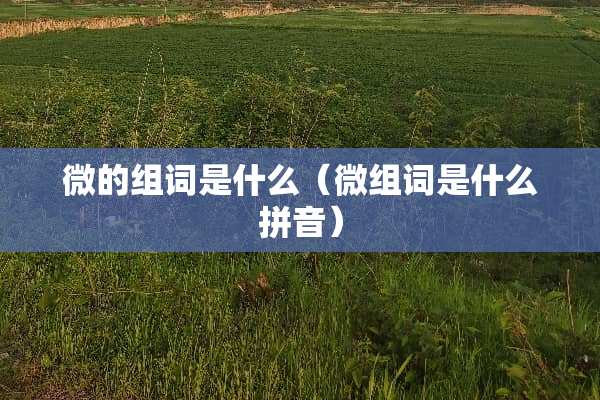微的组词是什么（微组词是什么拼音）