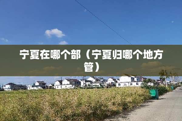宁夏在哪个部（宁夏归哪个地方管）