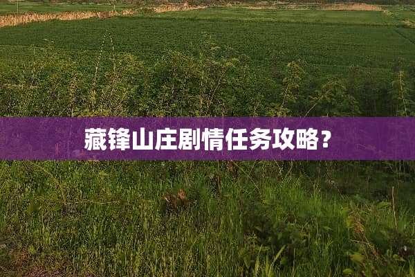 藏锋山庄剧情任务攻略？