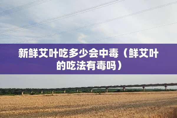 新鲜艾叶吃多少会中毒（鲜艾叶的吃法有毒吗）