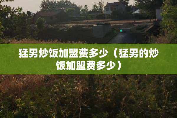 **炒饭加盟费多少（**的炒饭加盟费多少）