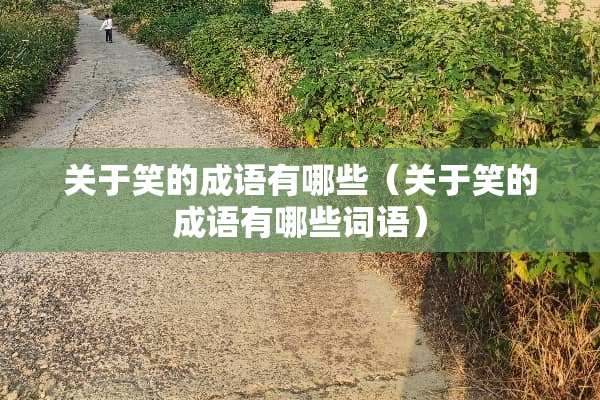 关于笑的成语有哪些（关于笑的成语有哪些词语）