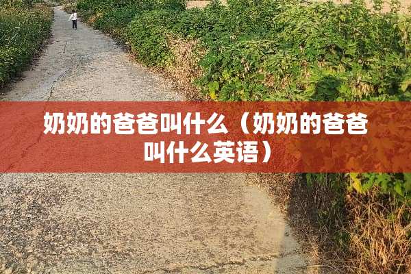 奶奶的爸爸叫什么（奶奶的爸爸叫什么英语）