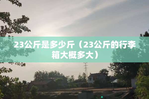 23公斤是多少斤（23公斤的行李箱大概多大）
