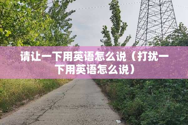 请让一下用英语怎么说（打扰一下用英语怎么说）