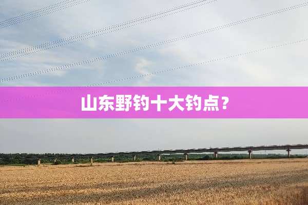 山东野钓十大钓点？