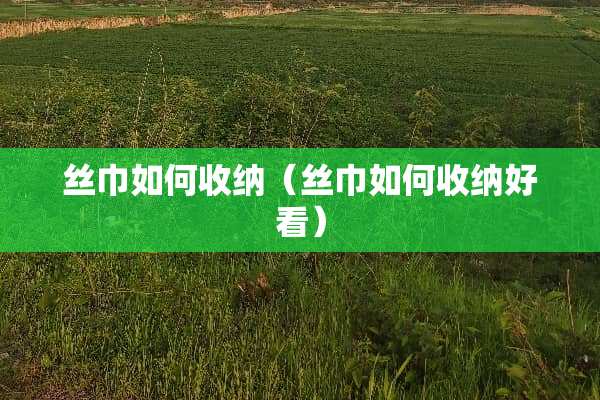 丝巾如何收纳（丝巾如何收纳好看）