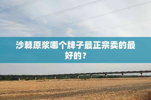 沙棘原浆哪个牌子最正宗卖的最好的？