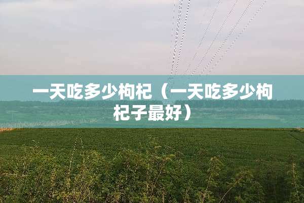 一天吃多少枸杞（一天吃多少枸杞子最好）