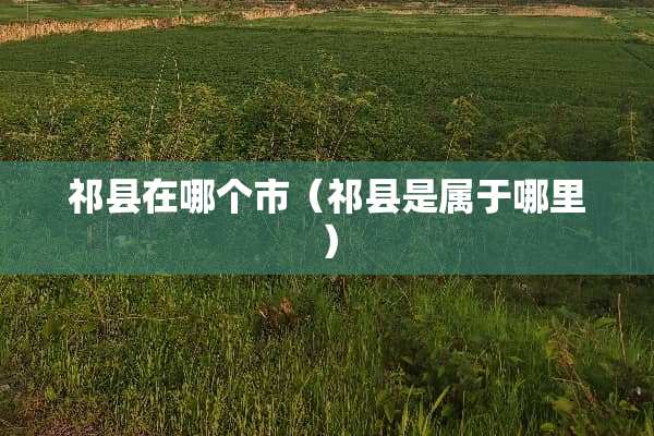 祁县在哪个市（祁县是属于哪里）