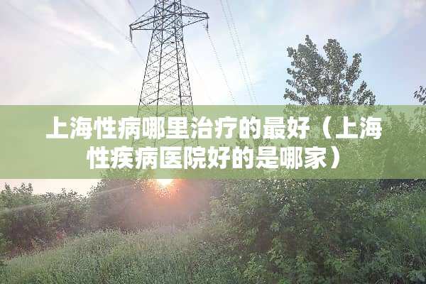 上海**哪里治疗的最好（上海性疾病医院好的是哪家）
