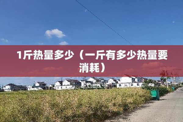 1斤热量多少（一斤有多少热量要消耗）