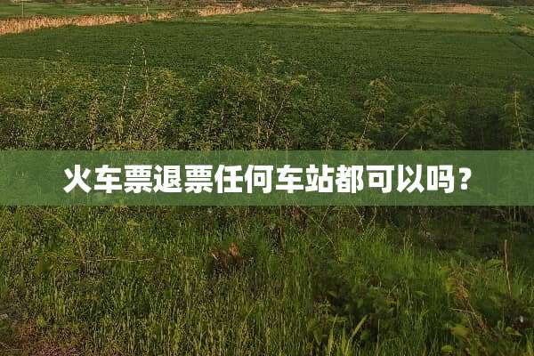 ***退票任何车站都可以吗？