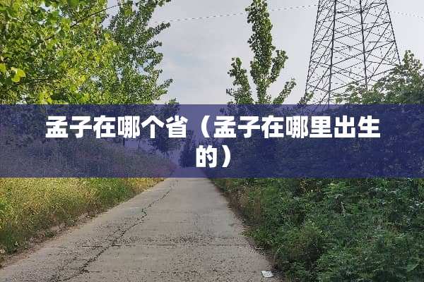 孟子在哪个省（孟子在哪里出生的）