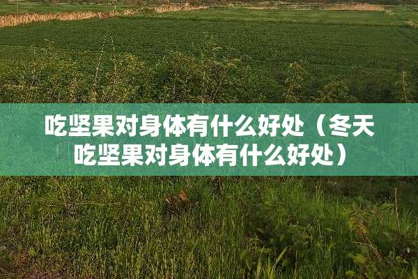 吃坚果对身体有什么好处（冬天吃坚果对身体有什么好处）