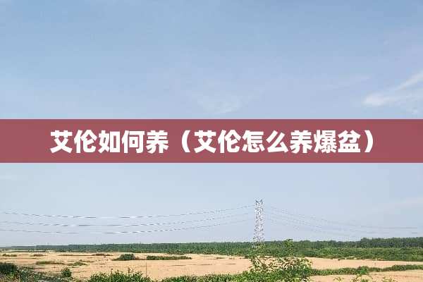 艾伦如何养（艾伦怎么养爆盆）