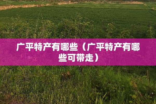 广平特产有哪些（广平特产有哪些可带走）