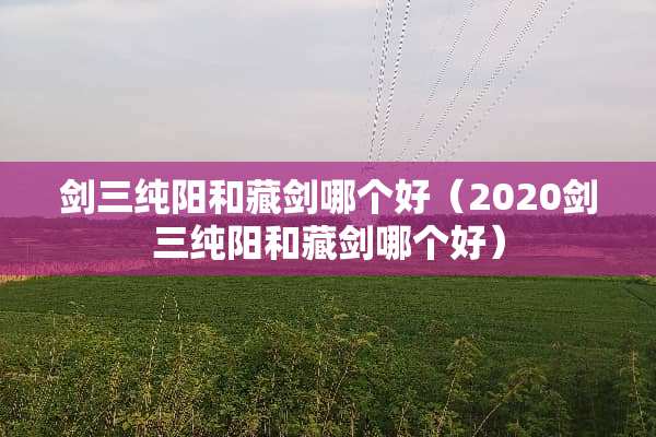 剑三纯阳和藏剑哪个好（2020剑三纯阳和藏剑哪个好）