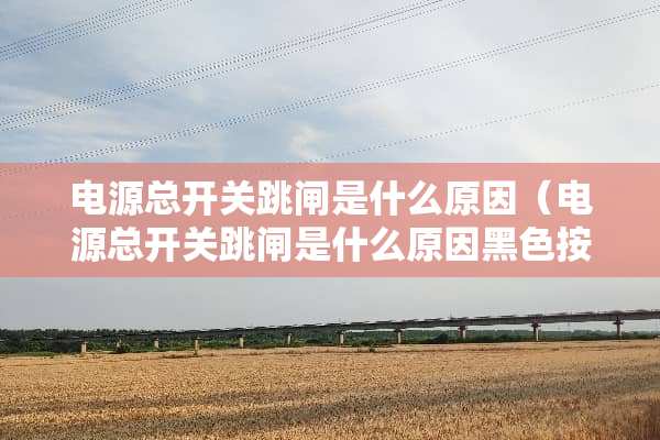 电源总开关跳闸是什么原因（电源总开关跳闸是什么原因黑色按钮弹出）