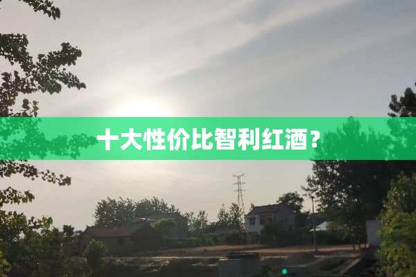 十大性价比智利红酒？