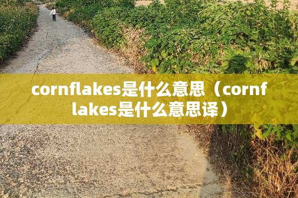 cornflakes是什么意思（cornflakes是什么意思译）